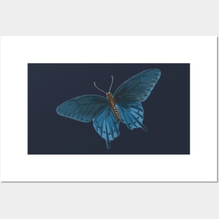 Butterfly of hope Posters and Art